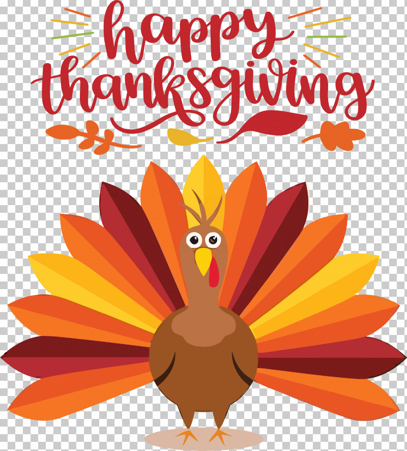 Happy Thanksgiving Turkey PNG, Clipart, Beak, Biology, Birds, Cartoon, Flower Free PNG Download