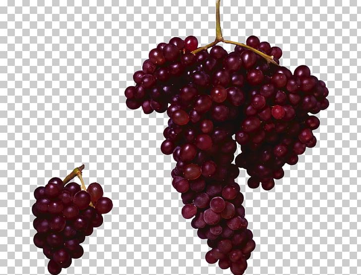 Common Grape Vine Zante Currant Grape Seed Oil PNG, Clipart, Animals, Berry, Boar, Boysenberry, Desktop Wallpaper Free PNG Download