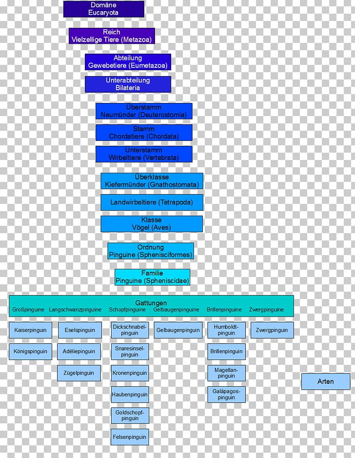 Penguin ござ Brand Systematics Organization PNG, Clipart, Animals, Area, Brand, Diagram, Lebensraum Free PNG Download