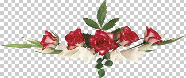 Garden Roses Vignette Rosa Mystica Syktyvkar Forest Institute Text PNG, Clipart, Artificial Flower, Bud, Floral Design, Floristry, Flower Free PNG Download