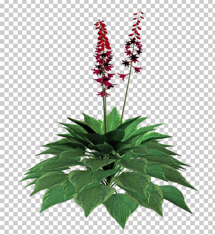 Painting Flower PNG, Clipart, Abstract Lines, Amaranth Family, Art, Cartoon, Color Free PNG Download