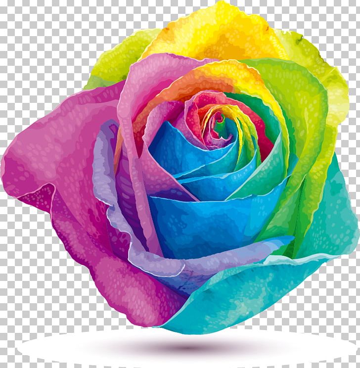 Rainbow Rose Stock Photography Color PNG, Clipart, Color Pencil, Color Powder, Color Smoke, Color Splash, Cut Flowers Free PNG Download