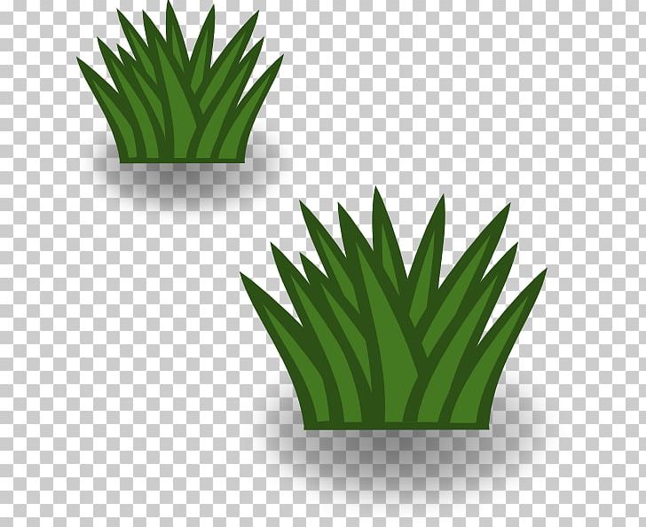 Temperate Grasslands PNG, Clipart, Aloe, Biome, Bush, Computer Icons, Flowerpot Free PNG Download
