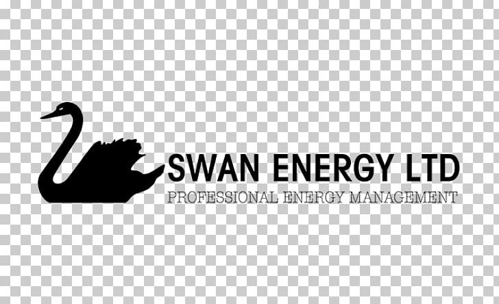 Cygnini Swan Energy Limited Logo Technology PNG, Clipart, Black And White, Brand, Cygnini, Energy, Hyundai Heavy Industries Free PNG Download