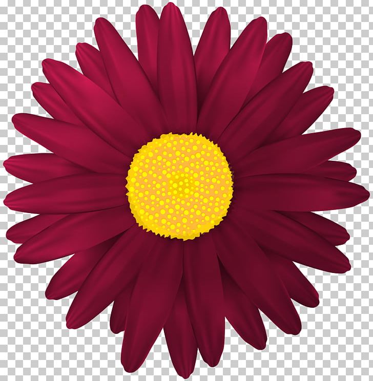 Flower Scalable Graphics PNG, Clipart, Chrysanths, Clipart, Clip Art, Color, Cut Flowers Free PNG Download