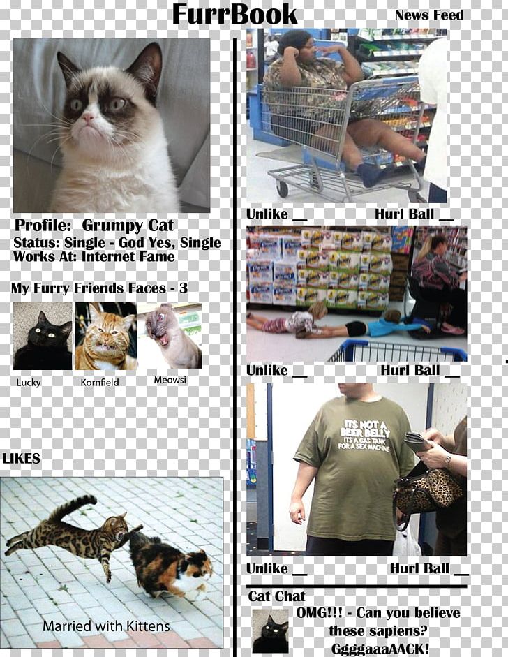 Grumpy Cat Keyring Key Chains Samsung Galaxy S8 PNG, Clipart, Animal, Animals, Art, Carnivoran, Cat Free PNG Download