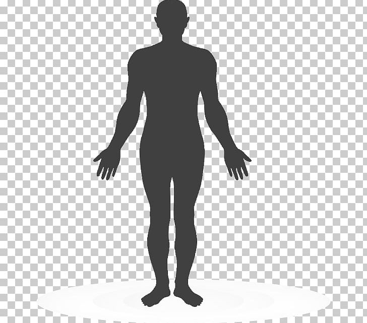 Human Body PNG, Clipart, Arm, Art, Back, Black, Black And White Free PNG Download