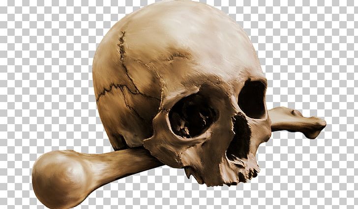 Human Skull Calavera Bone Skeleton PNG, Clipart, 2017, Bone, Calavera, Female, Halloween Free PNG Download