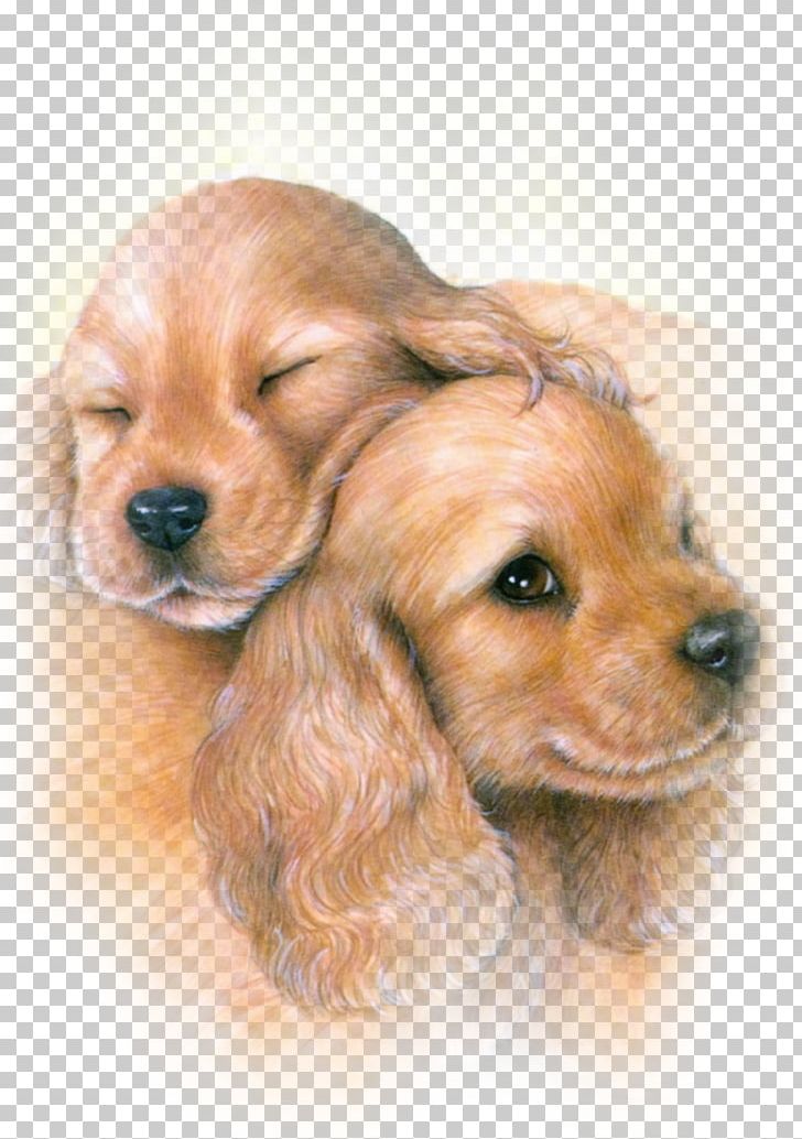 American Cocker Spaniel English Cocker Spaniel Field Spaniel Sussex Spaniel Puppy PNG, Clipart, American Cocker Spaniel, Animal, Animals, Breed, Carnivoran Free PNG Download
