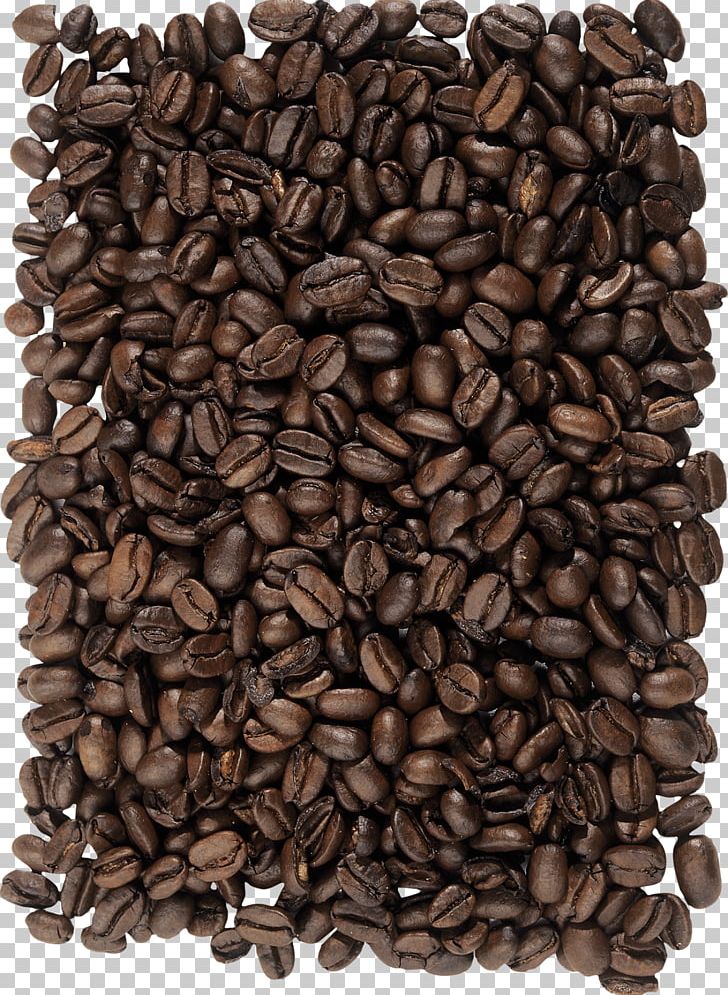 Coffee Bean Cafe PNG, Clipart, Cafe, Caffeine, Coffee, Coffee Bean, Coffee Beans Free PNG Download