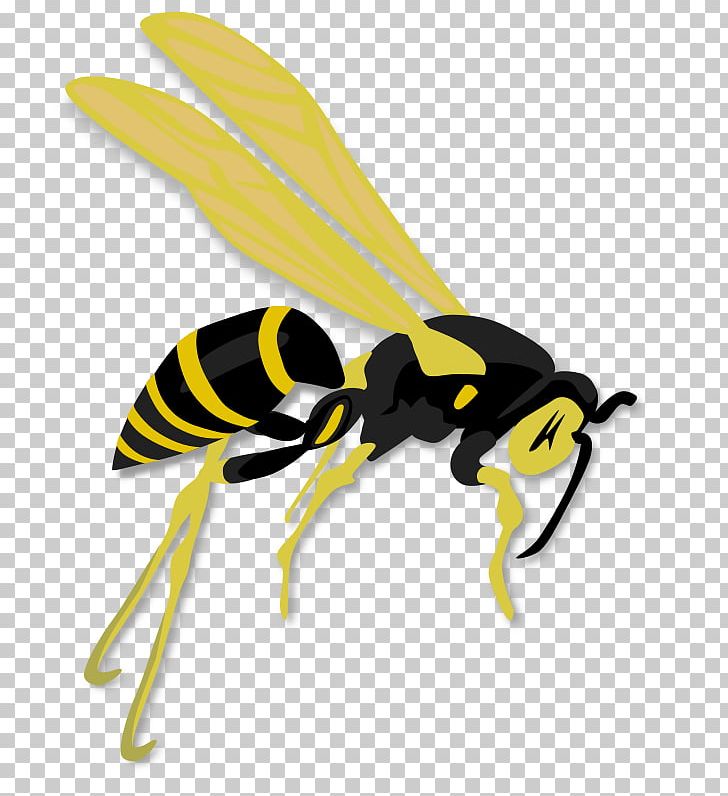 Hornet Bee Insect Wasp PNG, Clipart, Art, Arthropod, Bee, Cartoon, Fly Free PNG Download