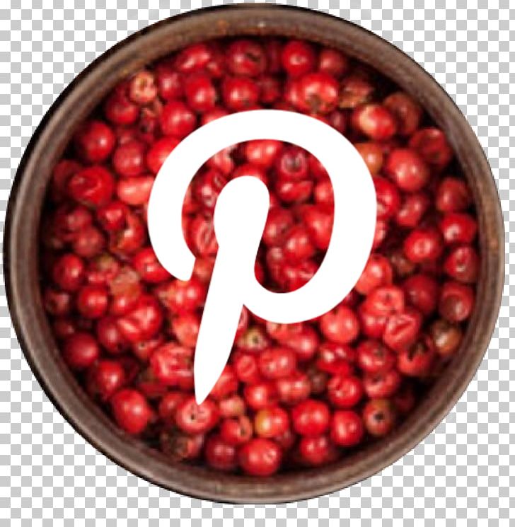 Social Media Cranberry Food Pink Peppercorn PNG, Clipart, Berry, Blog, Cranberry, Delivery, Email Free PNG Download