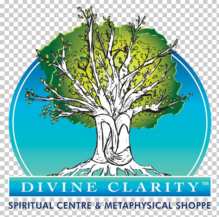 DIVINE CLARITY Spiritual Centre & Metaphysical Shoppe Spirituality Mediumship New Age Insights Airdrie PNG, Clipart, Airdrie, Branch, Canada, Intuition, Leaf Vegetable Free PNG Download