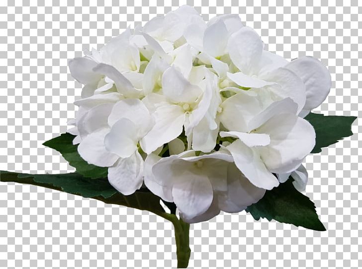 Hydrangea Cut Flowers Petal Herbaceous Plant PNG, Clipart, Branch, Branching, Cornales, Cut Flowers, Flower Free PNG Download