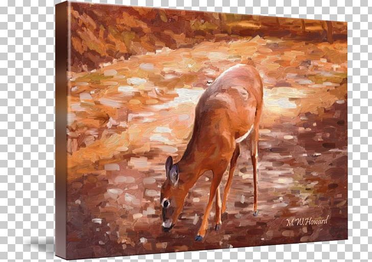 Impala Deer Gazelle Antler Painting PNG, Clipart, Animals, Antelope, Antler, Chevrolet Impala, Deer Free PNG Download