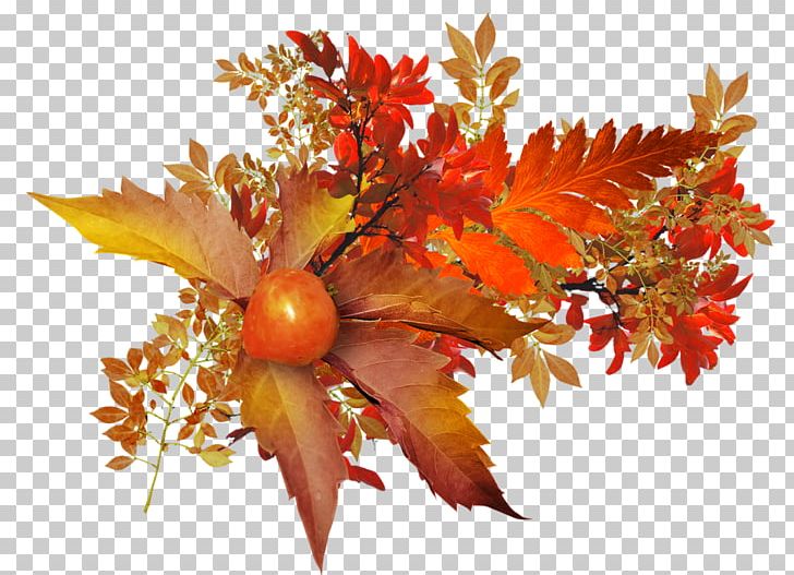 Leaf Autumn Fruit PNG, Clipart, Autumn, Drawing, Flower, Flower Bouquet, Fruit Free PNG Download