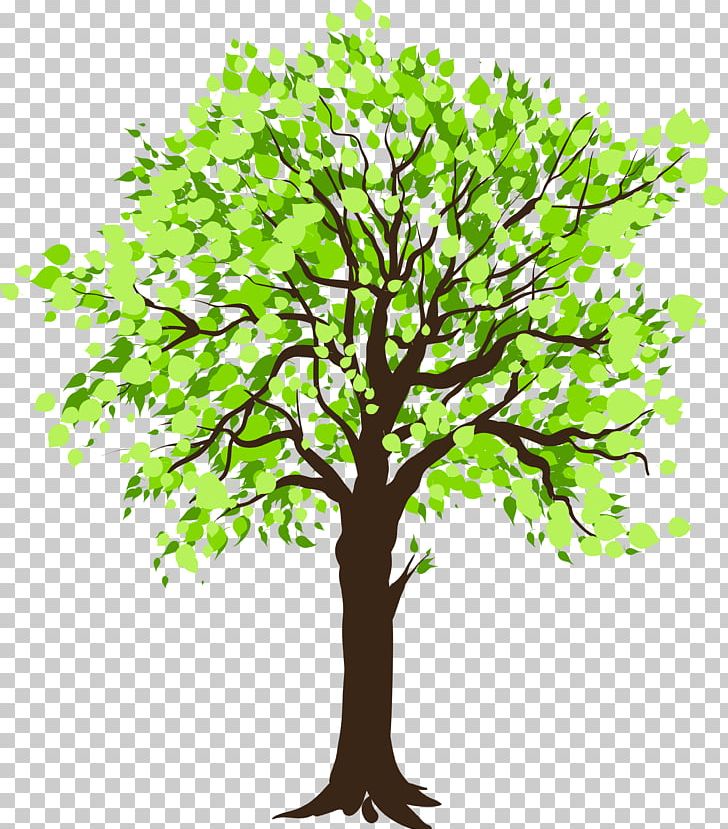 Tree Stock Photography PNG, Clipart, Beech, Branch, Computer Icons, Drawing, Grass Free PNG Download