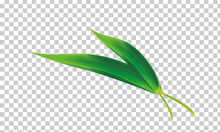 Zongzi Leaf Rice Cake U7aefu5348 PNG, Clipart, Autumn Leaves, Bamboo Leaves, Bamboo Vector, Banana Leaves, Chinese Dragon Free PNG Download