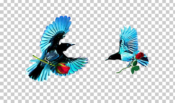 Bird Computer File PNG, Clipart, Beak, Bird, Blue, Blue Birds, Color Free PNG Download