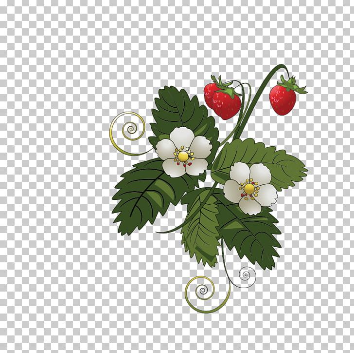 Strawberry Graphics Drawing Juice PNG, Clipart, Berries, Currant, Drawing, Floral Design, Flower Free PNG Download