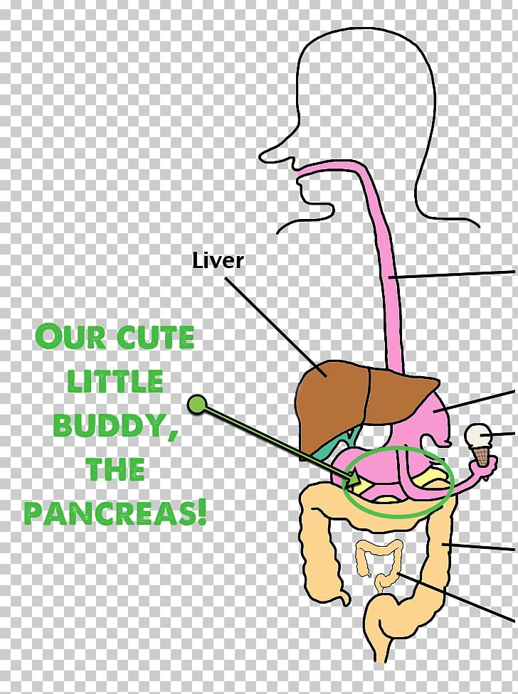 Amino Acid Thumb Directed Mutagenesis Beak PNG, Clipart, Acid, Amino Acid, Angle, Area, Arm Free PNG Download