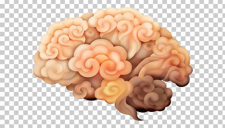 Brain PNG, Clipart, Adobe Illustrator, Brain, Brains, Brain Thinking, Brain Vector Free PNG Download