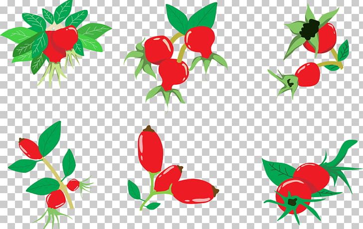 Rose Illustration PNG, Clipart, Branch, Designer, Download, Euclidean Vector, Flower Free PNG Download