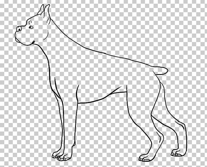 Boxer Line Art Animal Drawing PNG, Clipart, Animal, Animal Figure, Art, Artwork, Black And White Free PNG Download