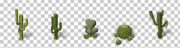 Cactaceae Saguaro PNG, Clipart, Cactaceae, Cactus, Clip Art, Collection, Flower Free PNG Download