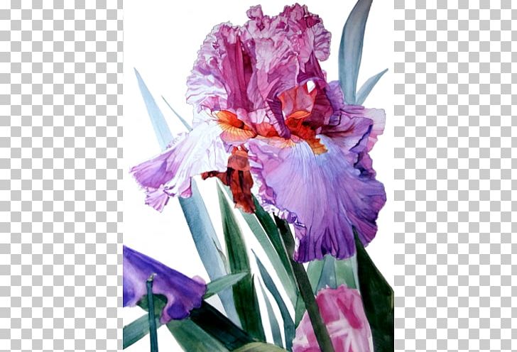 Irises Watercolor Painting Artist PNG, Clipart, Art, Art Museum, Cattleya, Color, Cut Flowers Free PNG Download