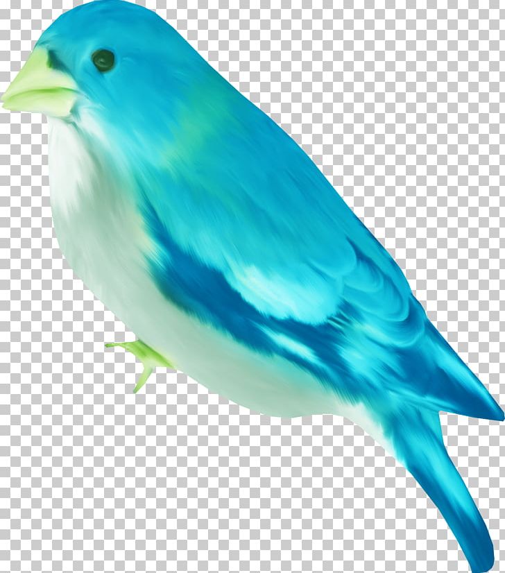 Bird Beak Yellow Cygnini White PNG, Clipart, Animals, Ardea, Beak, Bird, Blue Free PNG Download