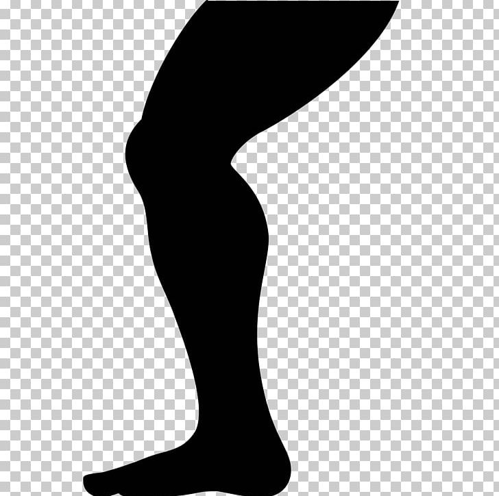 Computer Icons Human Leg PNG, Clipart, Arm, Black And White, Calf, Chicken Thighs, Computer Icons Free PNG Download