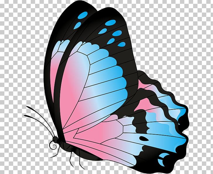 Monarch Butterfly PNG, Clipart, Art, Brush Footed Butterfly, Butterfly, Christmas Card, Clip Free PNG Download
