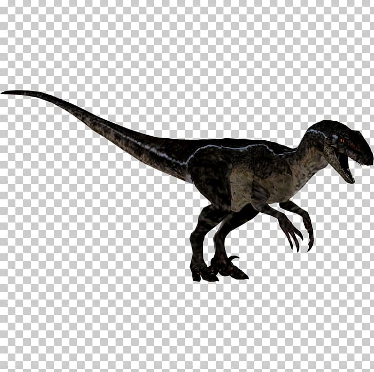 Zoo Tycoon 2: Marine Mania Velociraptor Zoo Tycoon: Dinosaur Digs Zoo Tycoon 2: Extinct Animals Tyrannosaurus PNG, Clipart, Animal Figure, Beak, Dinosaur, Extinction, Feather Free PNG Download