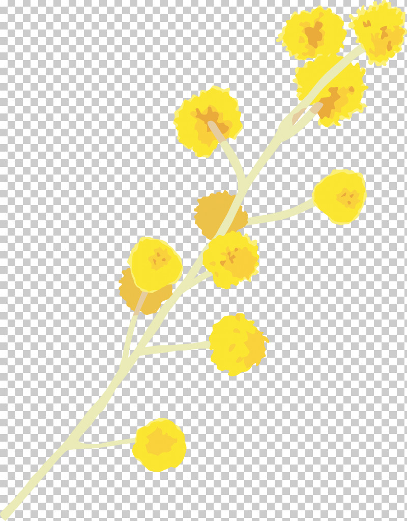 Yellow Flower Plant Pedicel Cut Flowers PNG, Clipart, Cut Flowers, Flower, Pedicel, Plant, Yellow Free PNG Download