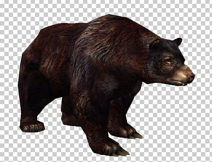 Grizzly Bear Metin2 American Black Bear Alaska Peninsula Brown Bear Animal PNG, Clipart, Alaska Peninsula Brown Bear, American Black Bear, Animal, Bear, Black Bear Free PNG Download