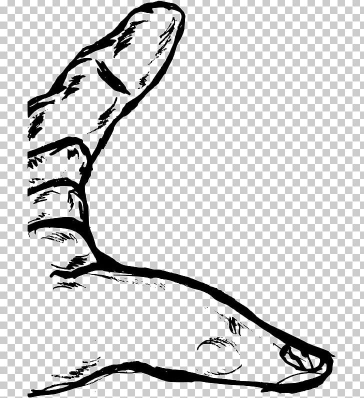 White Mammal Hand PNG, Clipart, Area, Arm, Art, Artwork, Beak Free PNG Download