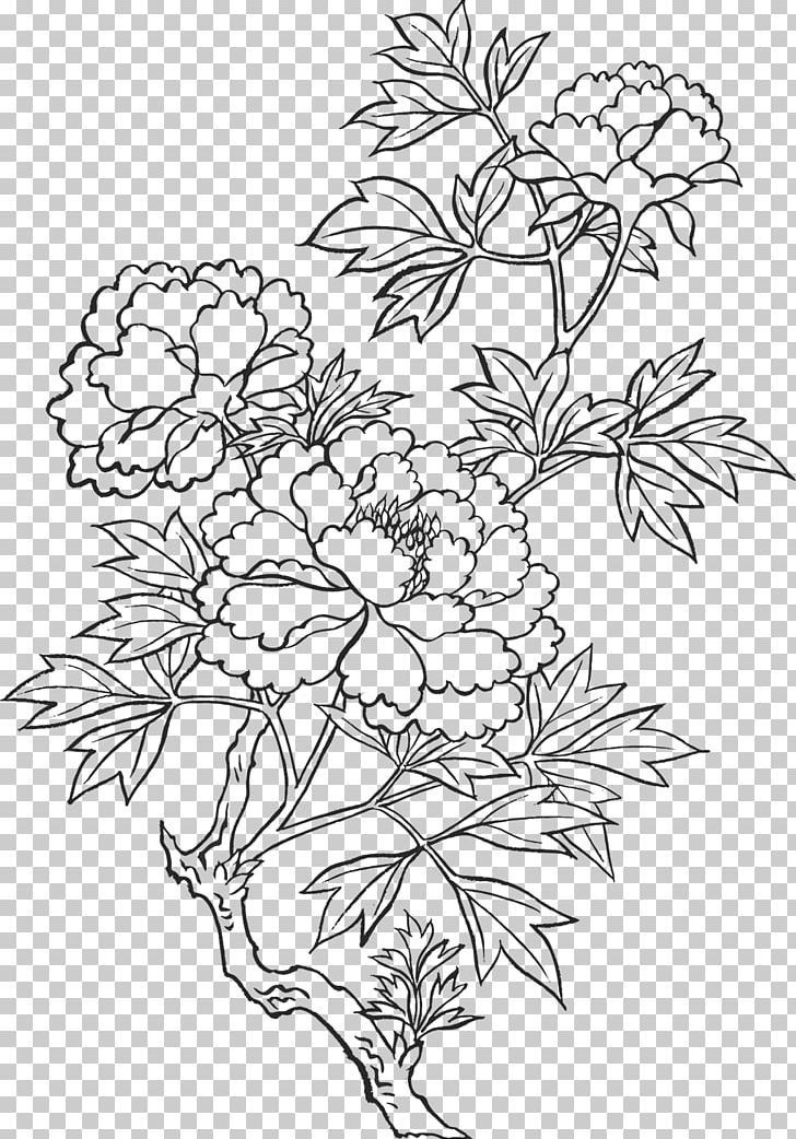 Peony Drawing Art Sketch PNG, Clipart, Area, Art, Black And White, Branch, Coloring Book Free PNG Download