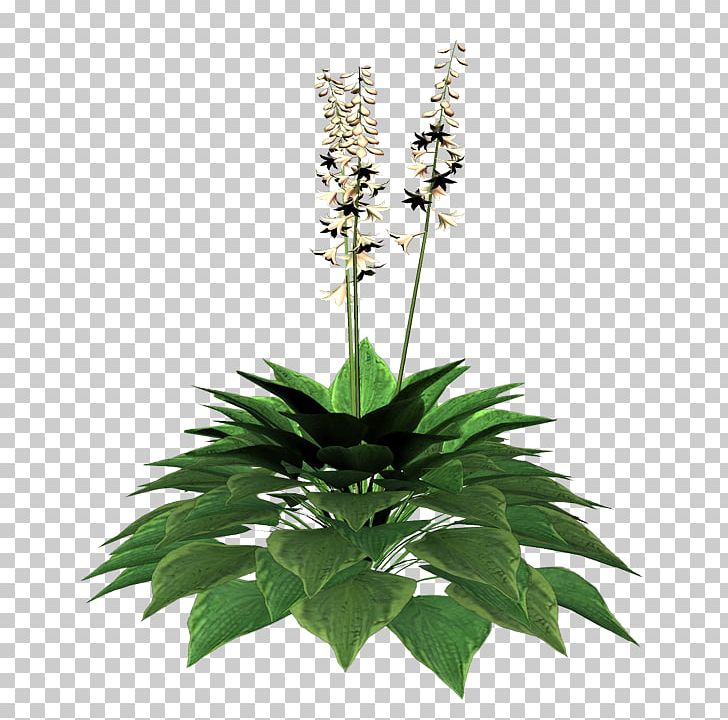 Cut Flowers Plant PNG, Clipart, Cartoon, Cut Flowers, Drawing, Floral Design, Flower Free PNG Download