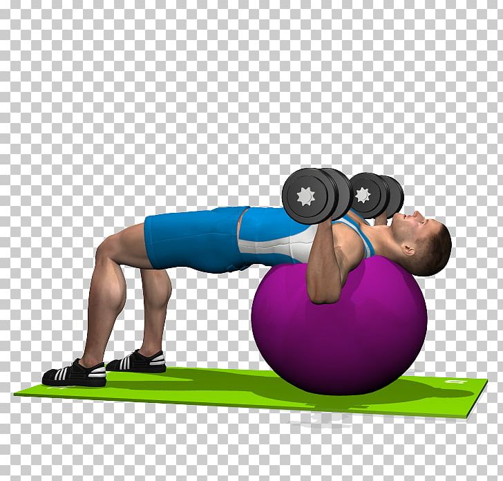 Pilates Medicine Balls Exercise Balls PNG, Clipart, Abdomen, Arm, Balance, Ball, Dumbbell Free PNG Download