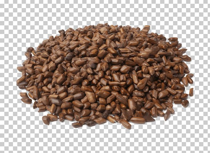 Senna Tora Jamaican Blue Mountain Coffee Stock Photography Extract PNG, Clipart, Beans, Cassia, Cocoa Bean, Coffee, Commodity Free PNG Download