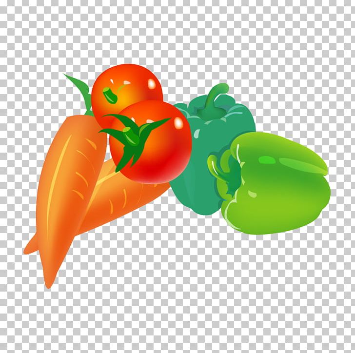 Habanero Bell Pepper Tabasco Pepper Chili Pepper Green PNG, Clipart, Bell Pepper, Carrot, Chili Pepper, Dish, Download Free PNG Download