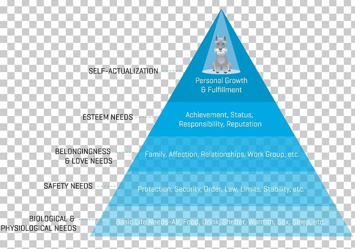 Maslow's Hierarchy Of Needs Fundamental Human Needs Life Motivation PNG, Clipart, Fundamental Human Needs, Life, Motivation, Others Free PNG Download