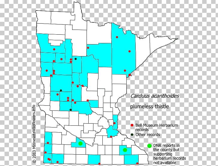 Minnesota Line Point Land Lot Angle PNG, Clipart, Angle, Area, Art, Carduus Tenuiflorus, Diagram Free PNG Download