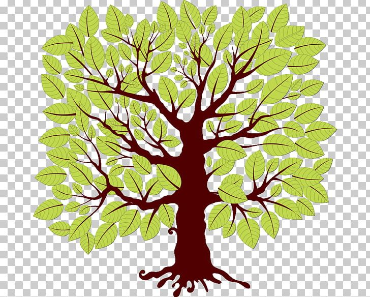 Tree Drawing Spruce Maple PNG, Clipart, Animals, Boar, Branch, Deciduous, Digital Image Free PNG Download