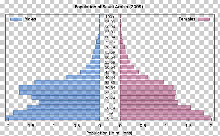 Population Pyramid World Population Prospects: The 2008 Revision Europe PNG, Clipart, Angle, Chart, Data, Demography, Diagram Free PNG Download