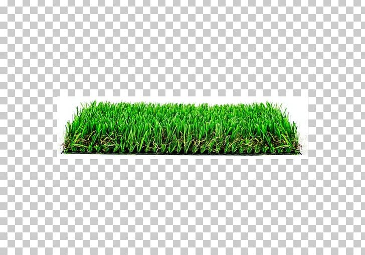 Artificial Turf Lawn Hue Square Meter Garden PNG, Clipart, Artificial Turf, Blue, Cesped, Color, Fence Free PNG Download