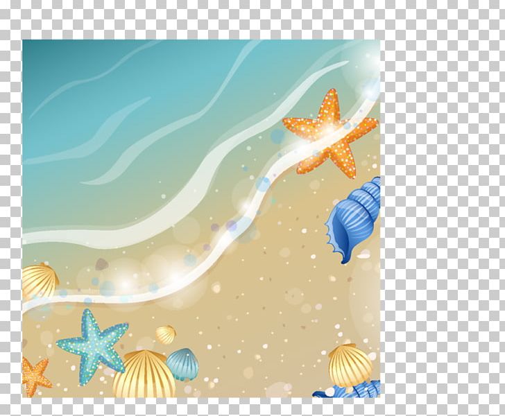 Photography Beach Desktop PNG, Clipart, Aqua, Beach, Desktop Wallpaper, Drawing, Fish Free PNG Download
