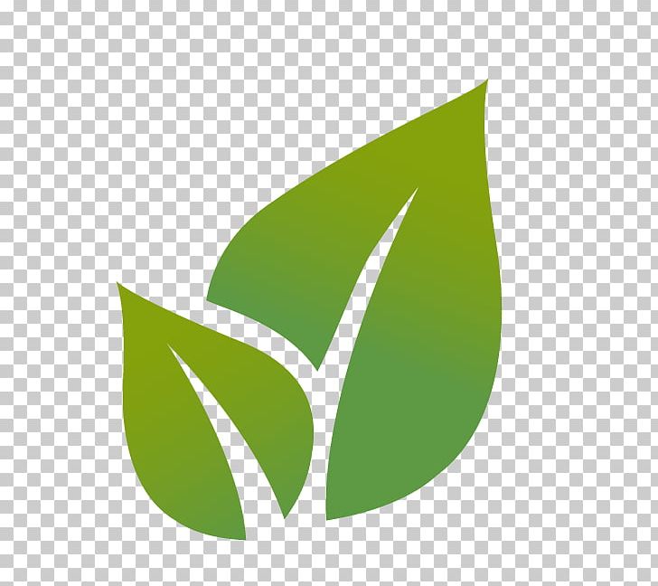 Leaf PNG, Clipart, Brand, Computer Icons, Drawing, Ecology, Environmental Free PNG Download