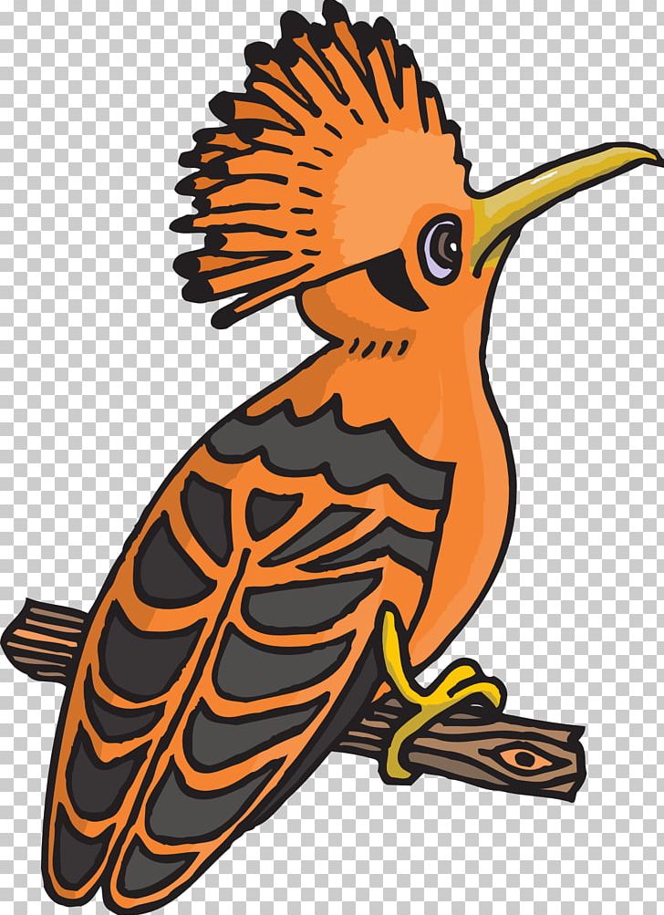 Bird PNG, Clipart, African Hoopoe, Animals, Art, Artwork, Beak Free PNG Download